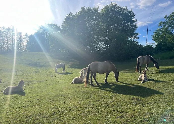 Сasa de vacaciones Tuli Piasutno